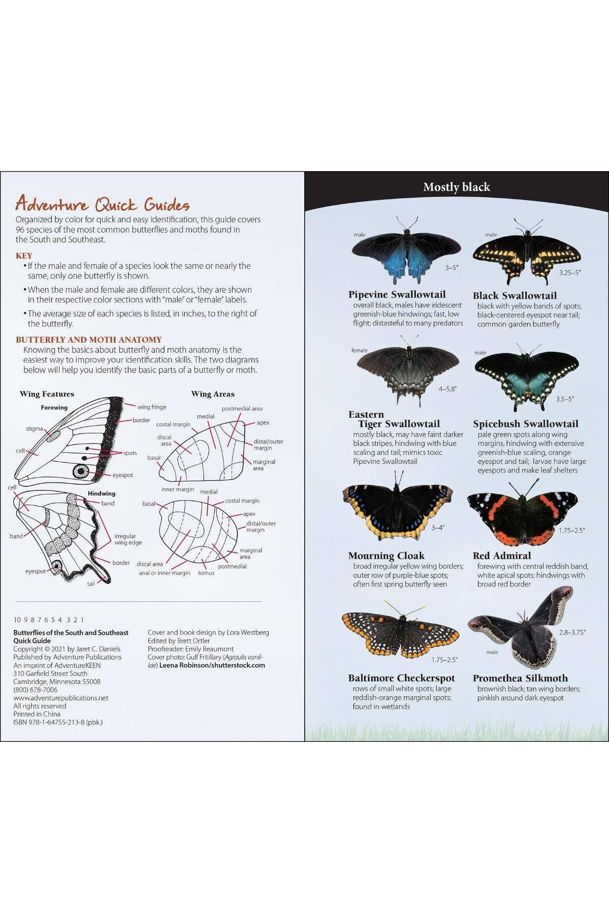 Butterflies of South & Southeast Quick Guide