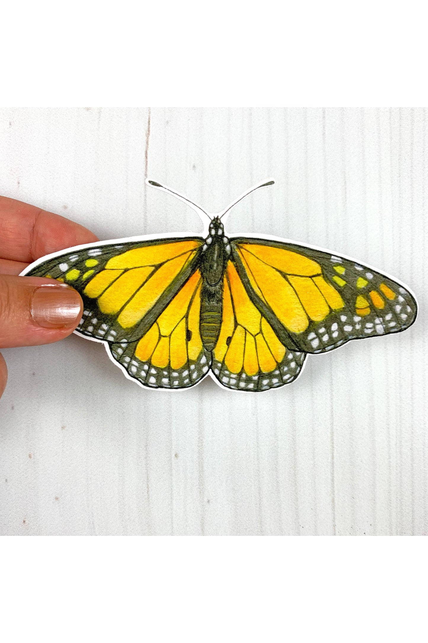 Monarch Butterfly Sticker