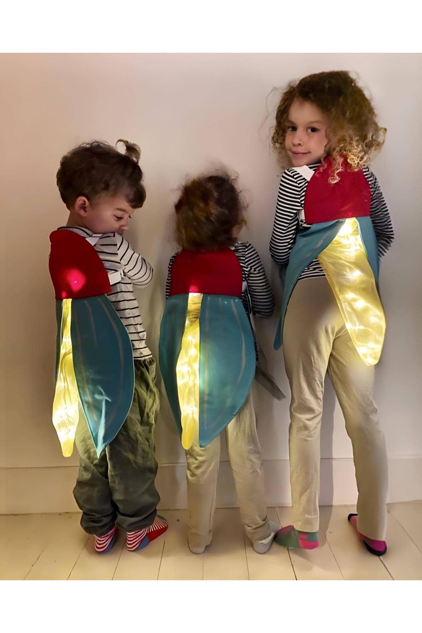 Firefly Costume Wings