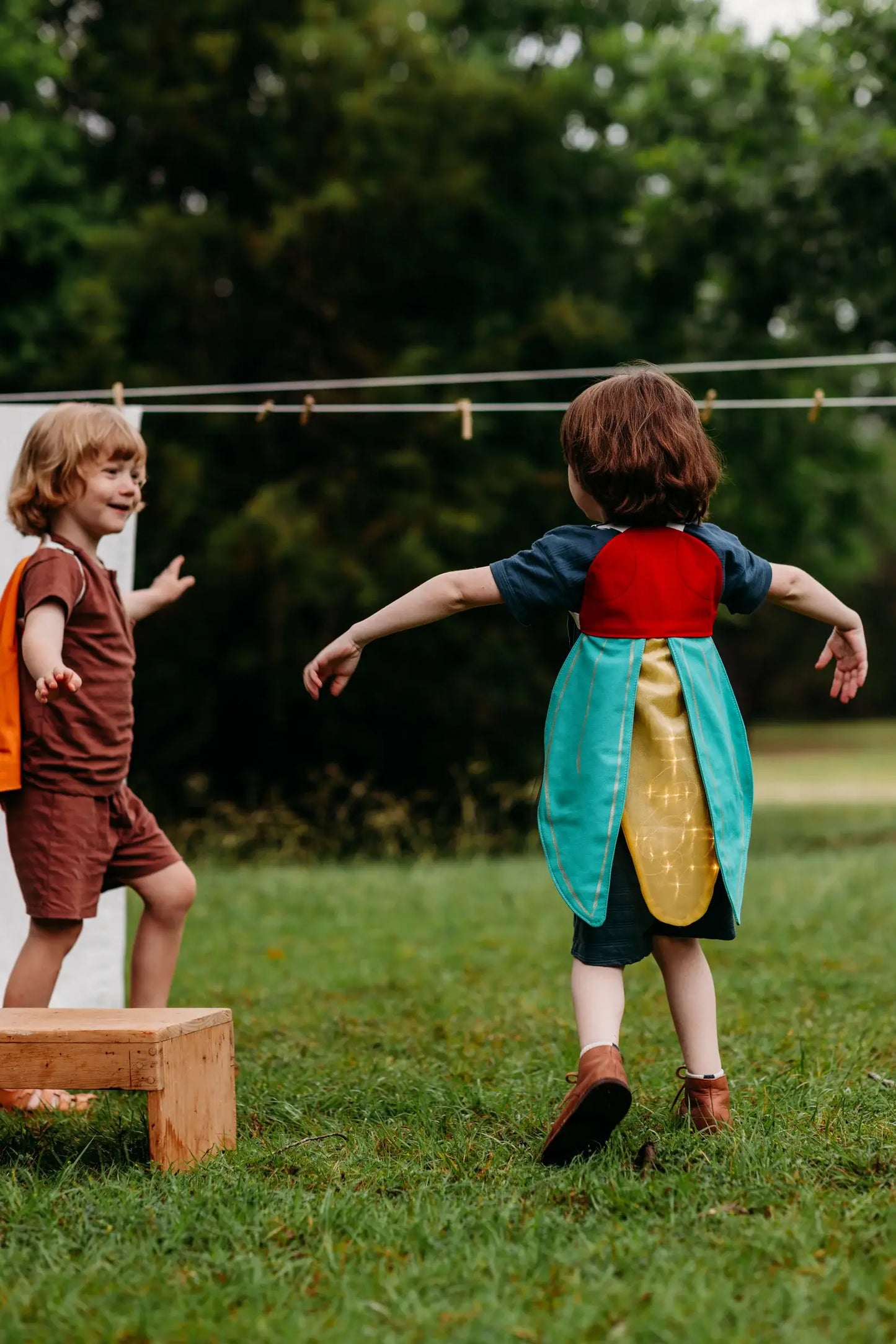 Firefly Costume Wings