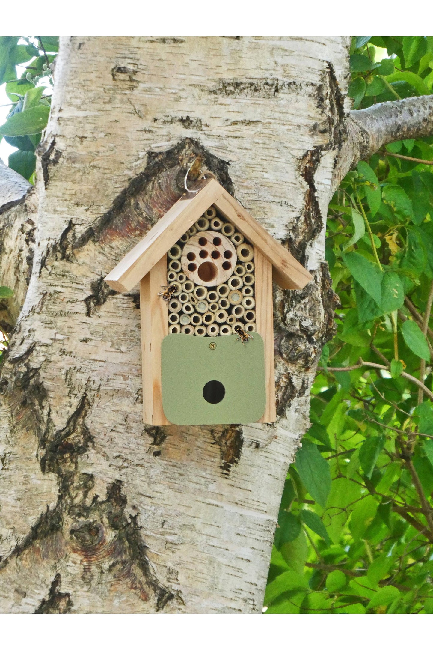 Bee Barn for Solitary Bees