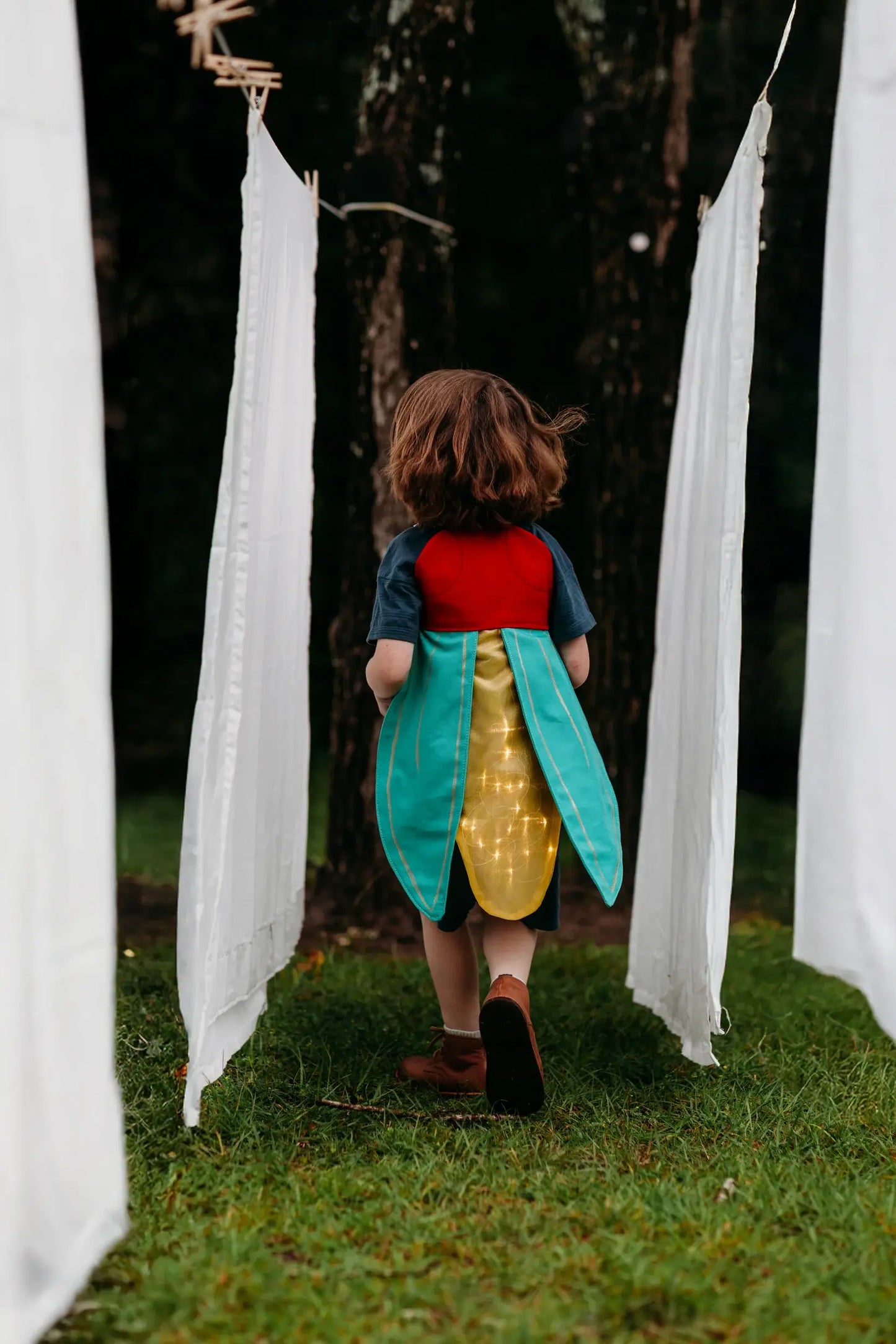 Firefly Costume Wings