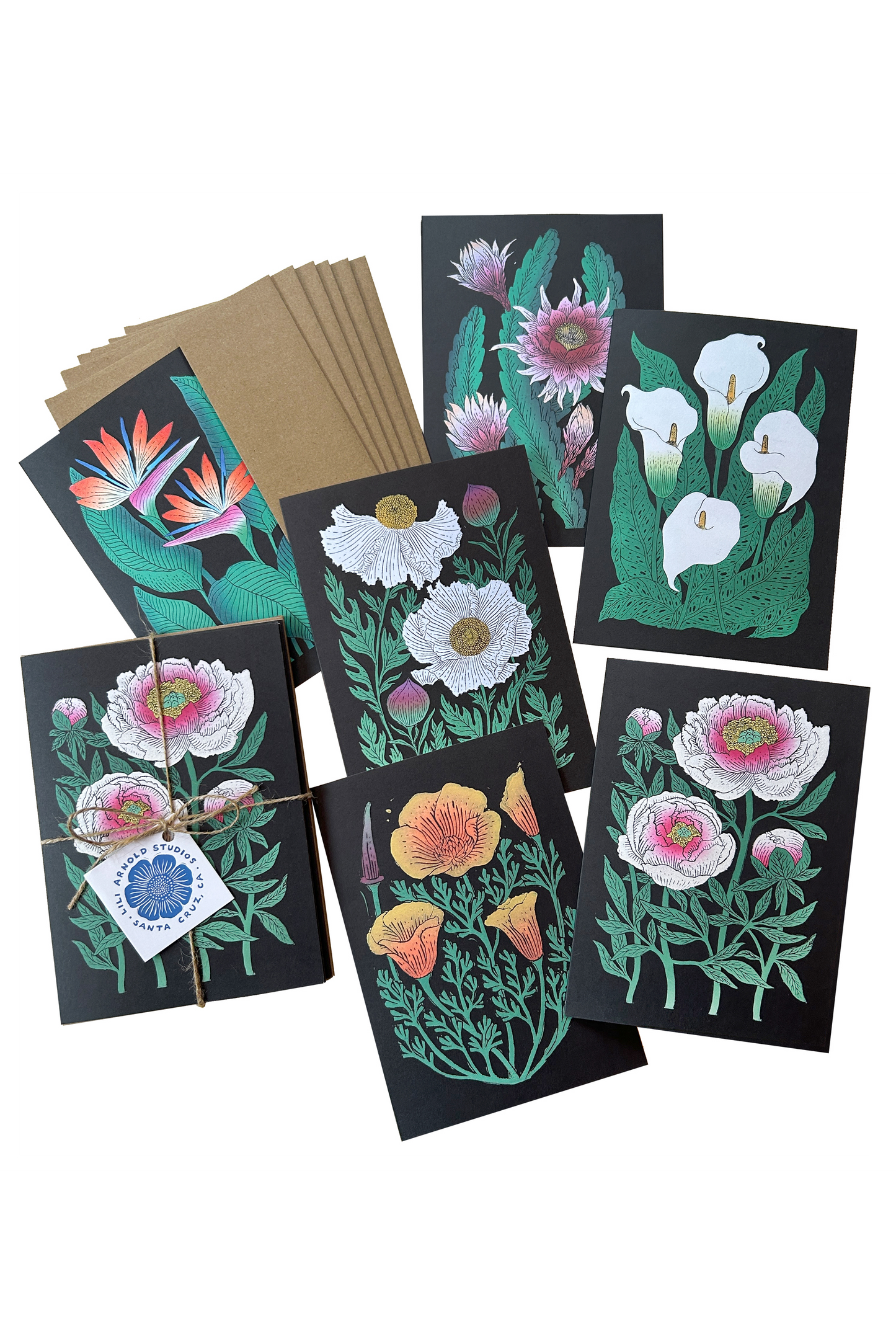 Set of 6 Botanical Greeting Cards (Black Background)