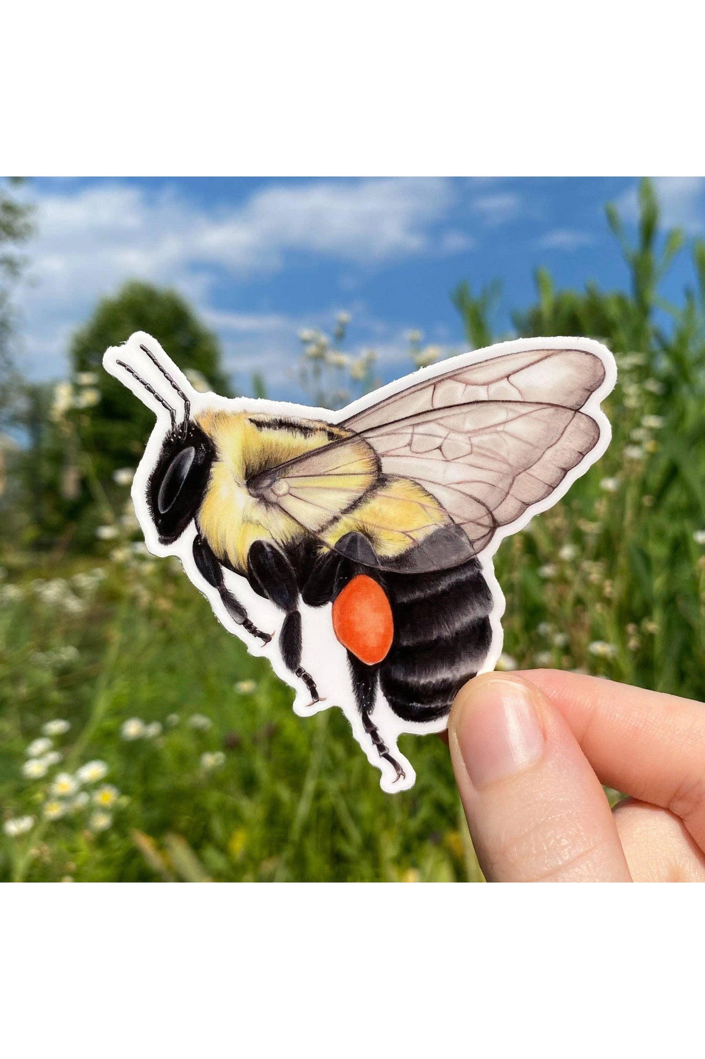 Common Eastern Bumble Bee Sticker