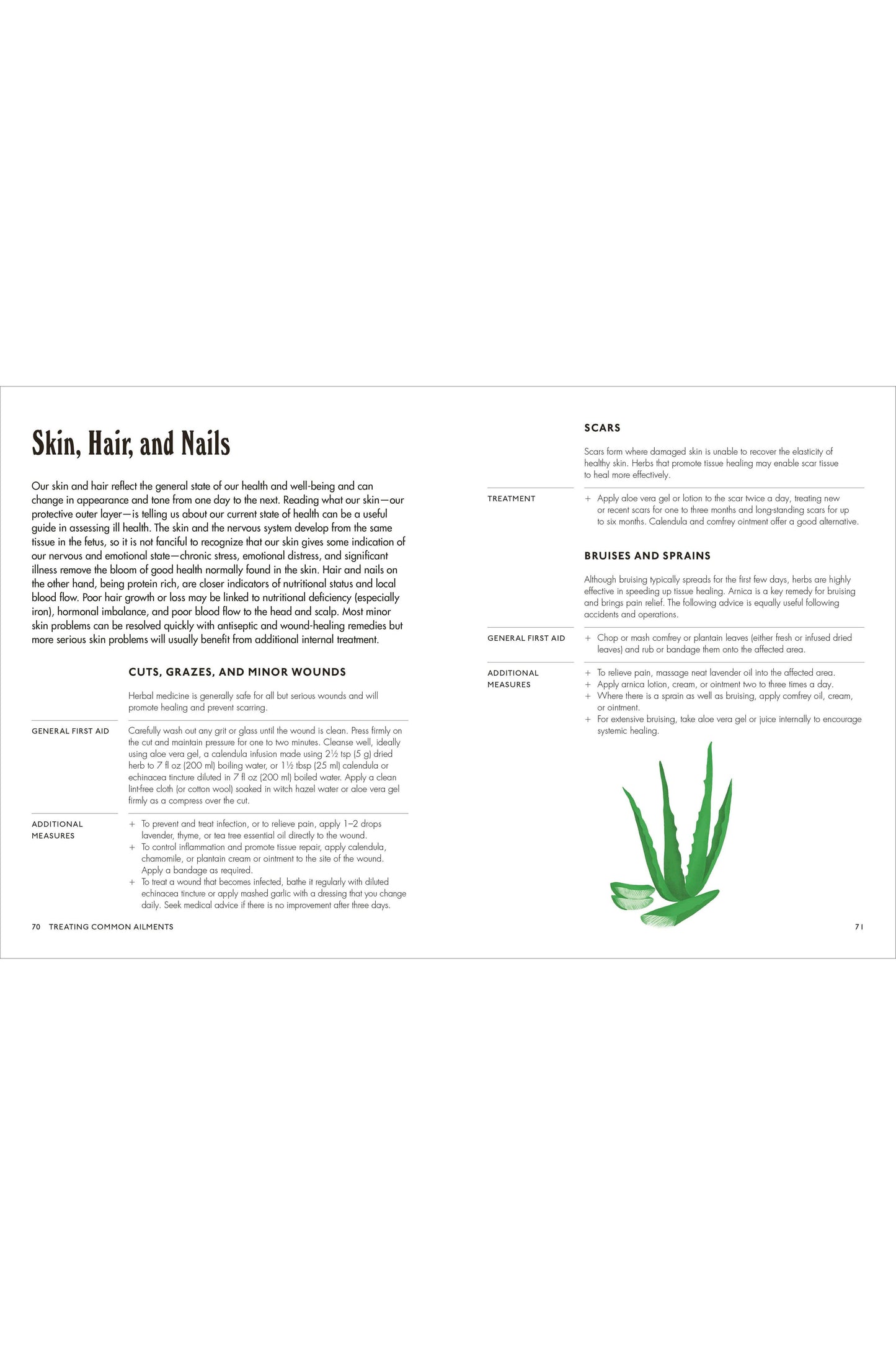 Home Herbal