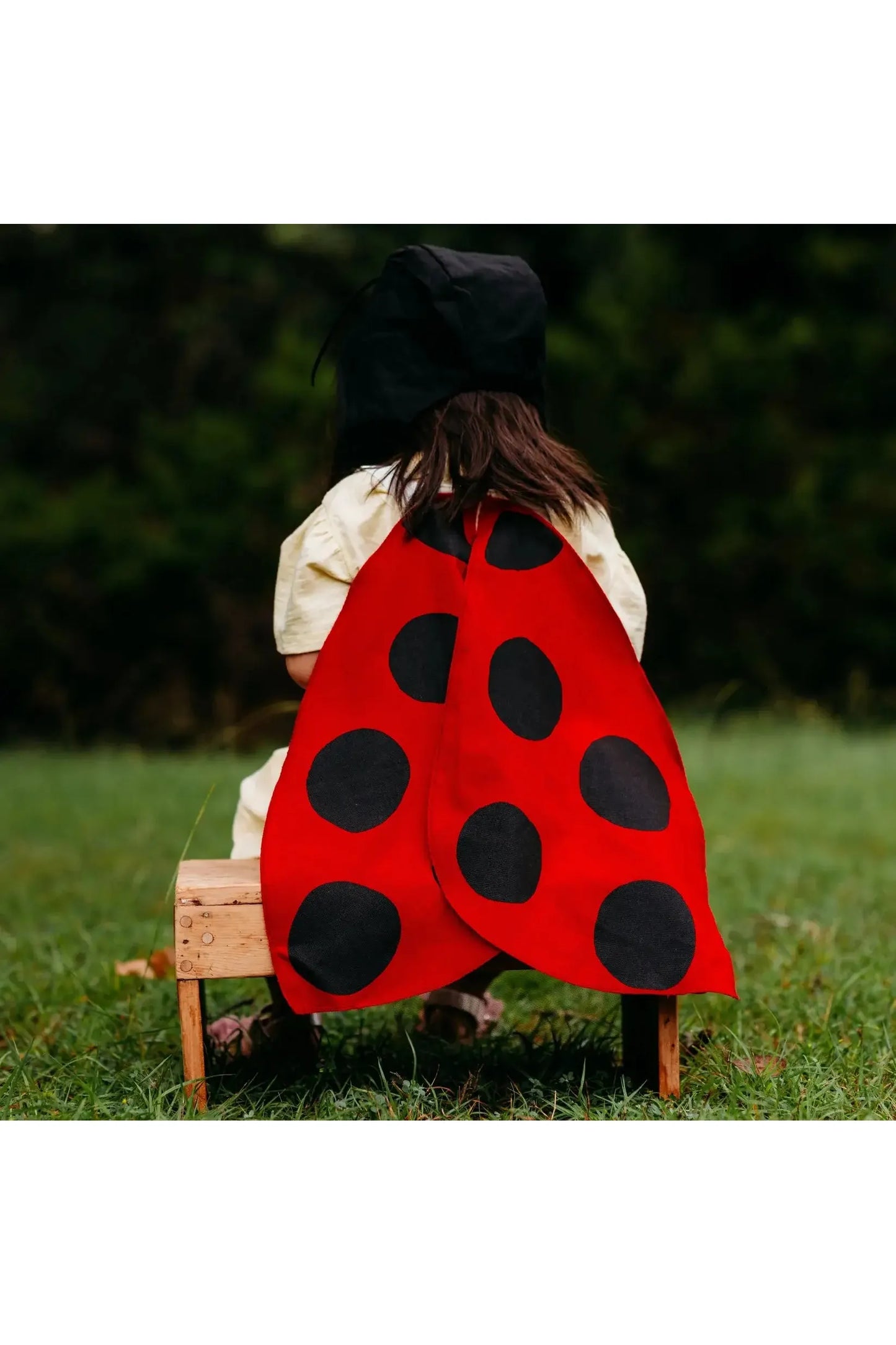 Ladybug Costume Wings