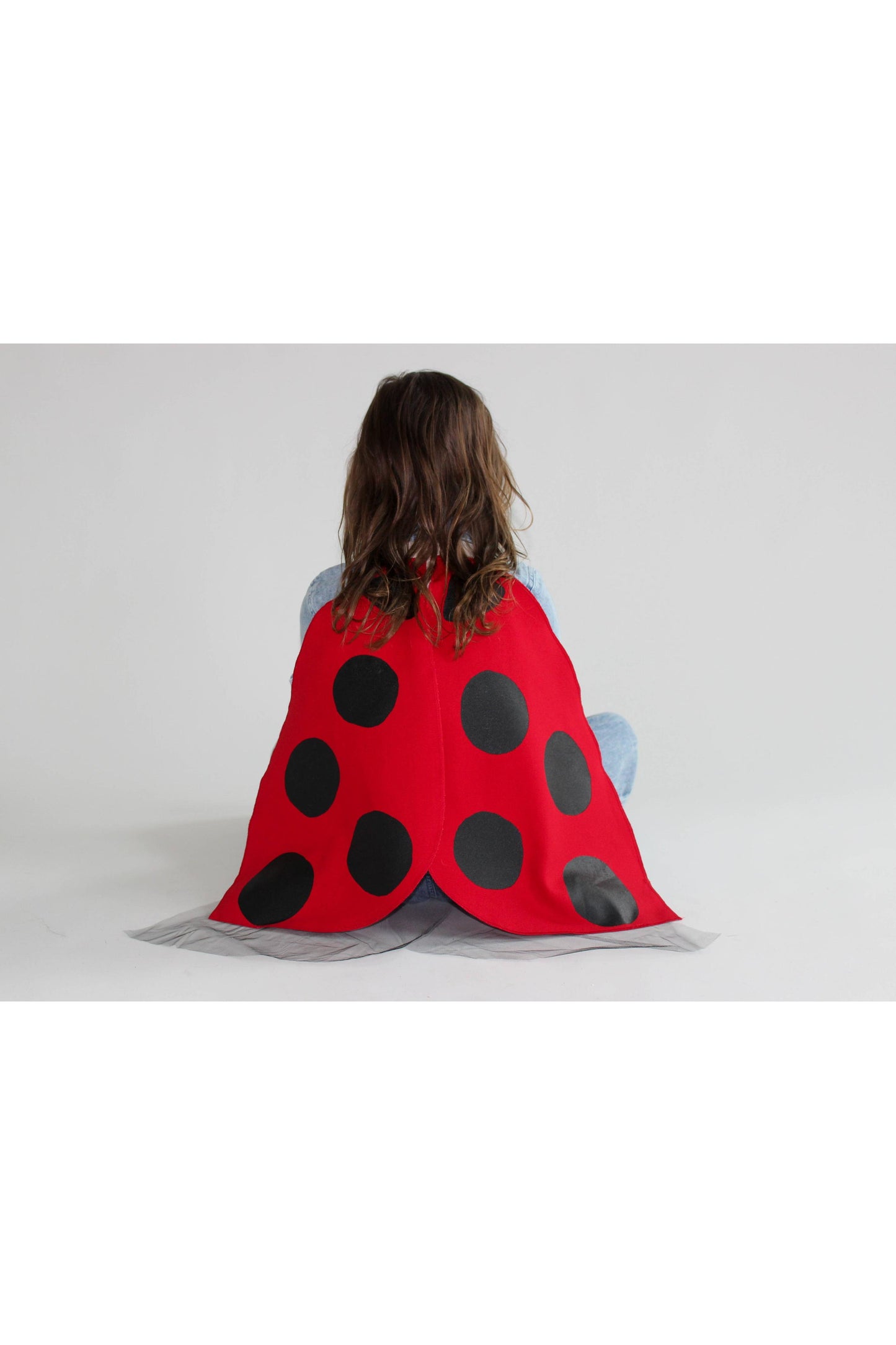 Ladybug Costume Wings