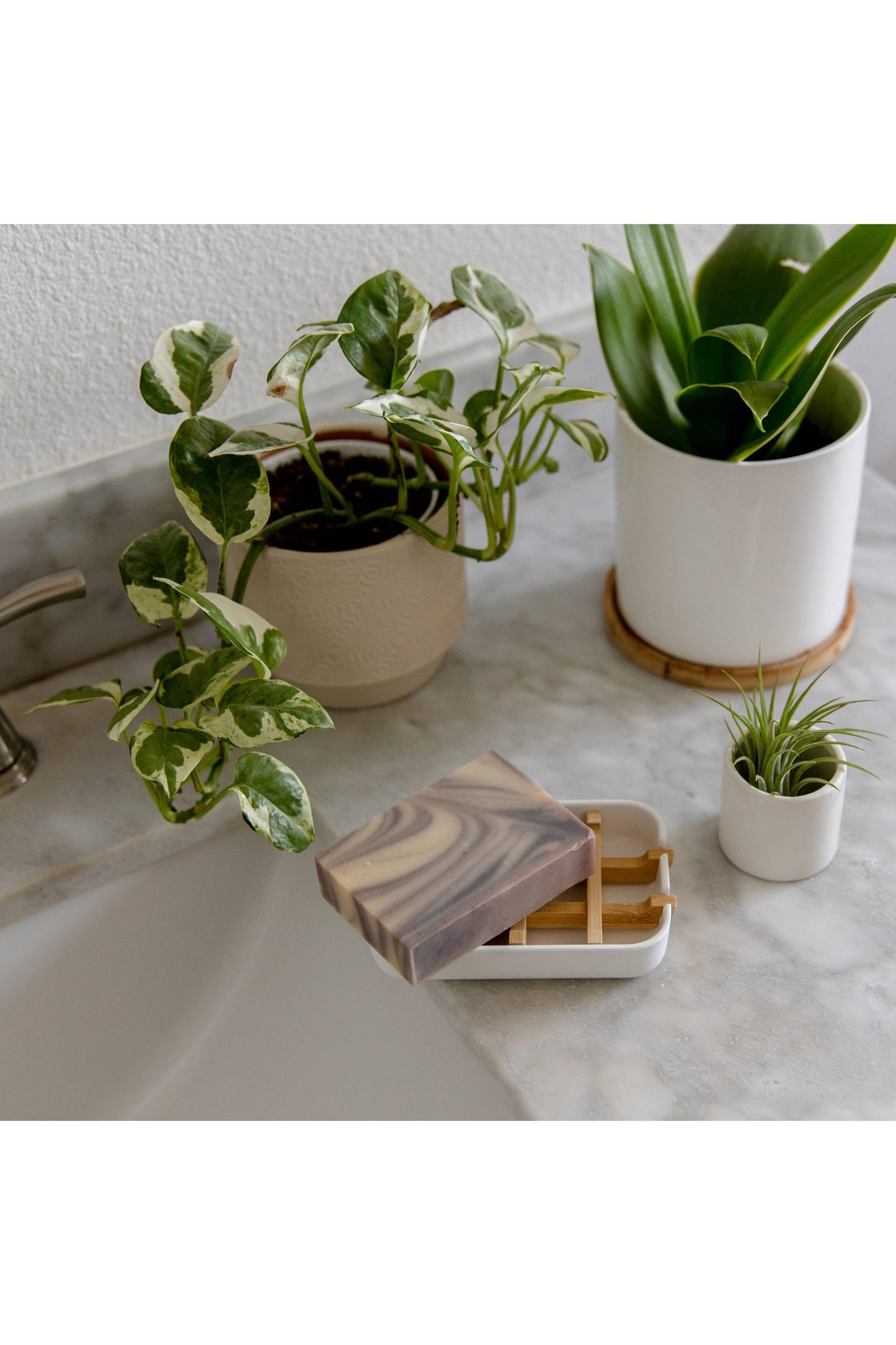 Biodegradable Soap Dish Tray - White