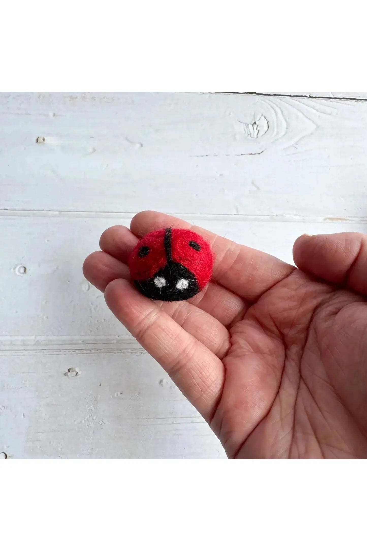 Mini Felt Ladybug