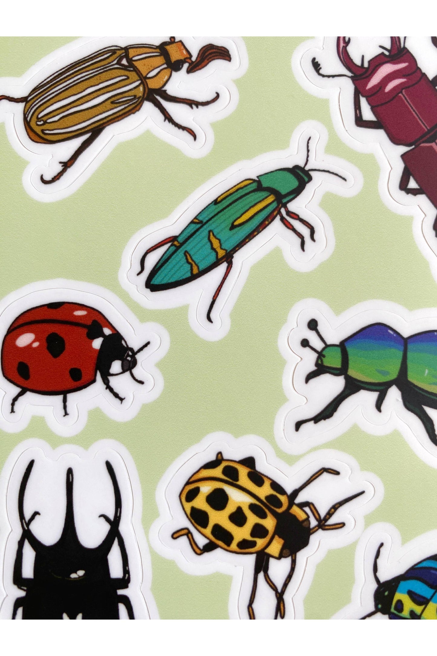 Beetle Stickers