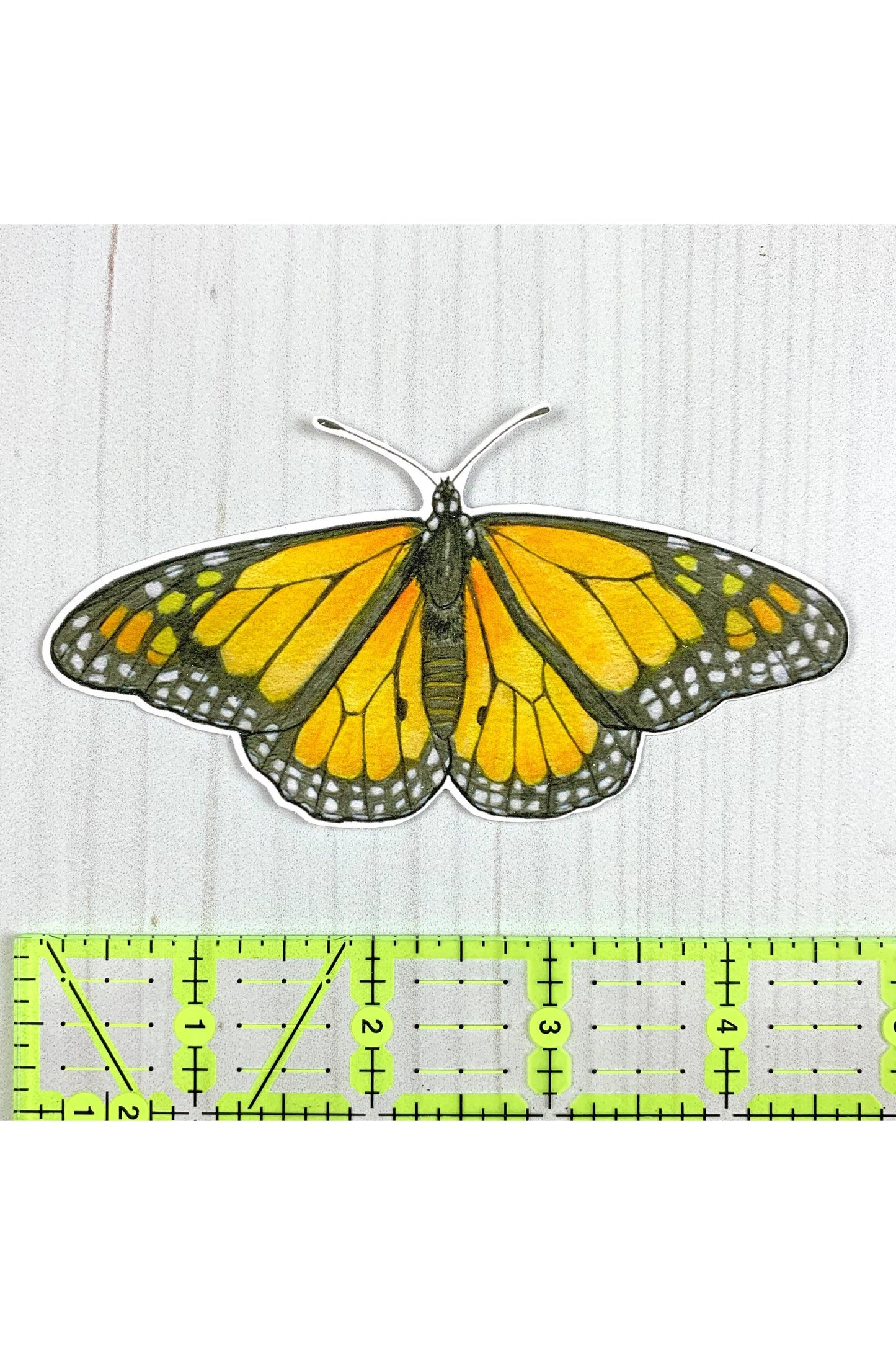 Monarch Butterfly Sticker