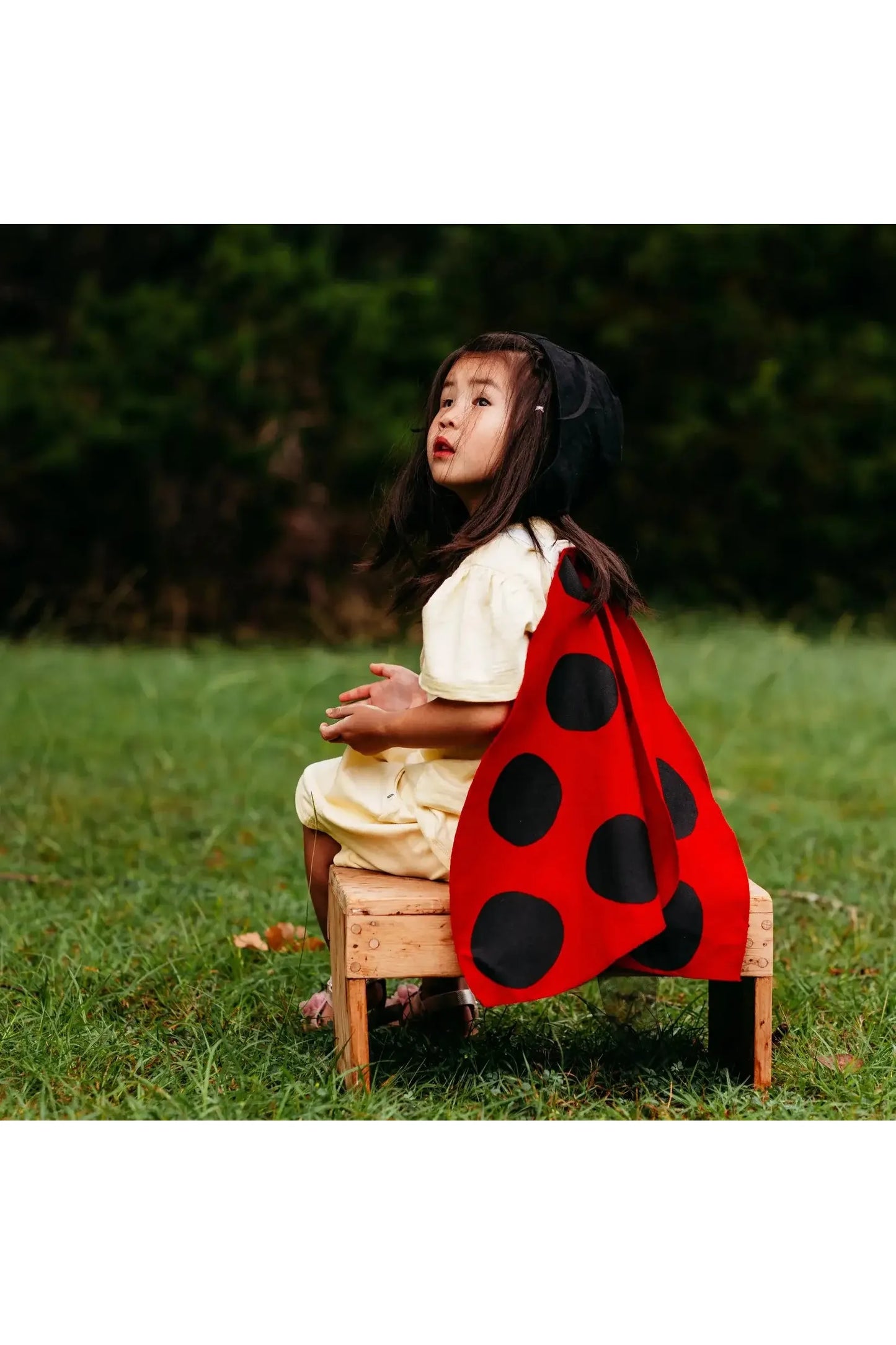 Ladybug Costume Wings