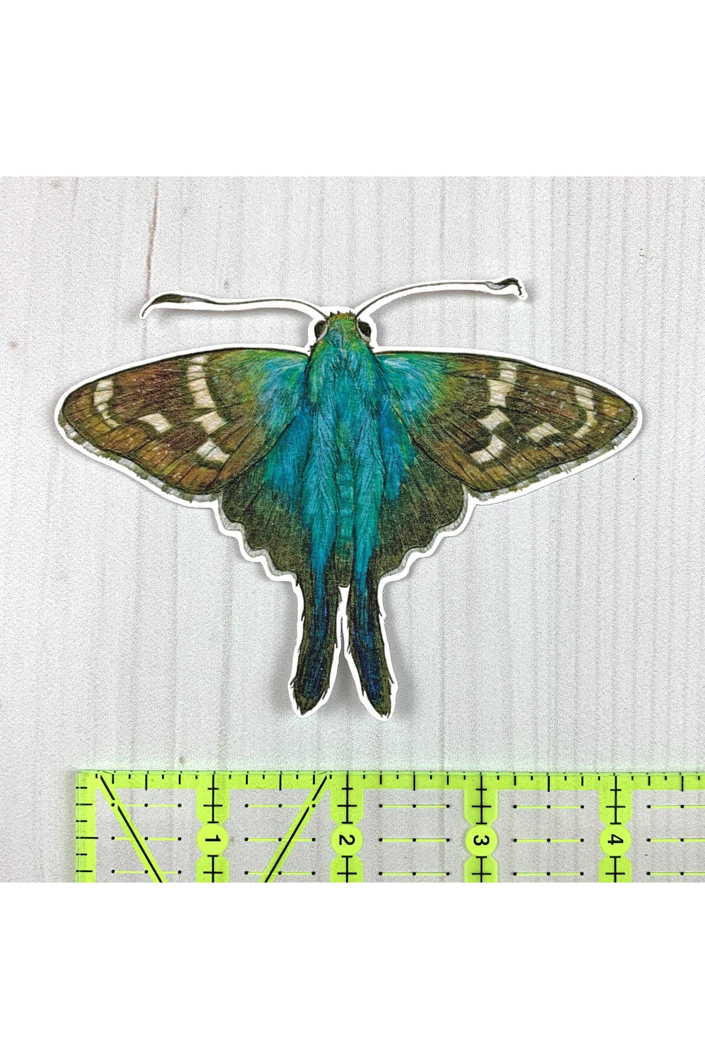 Long Tailed Skipper Butterfly Sticker