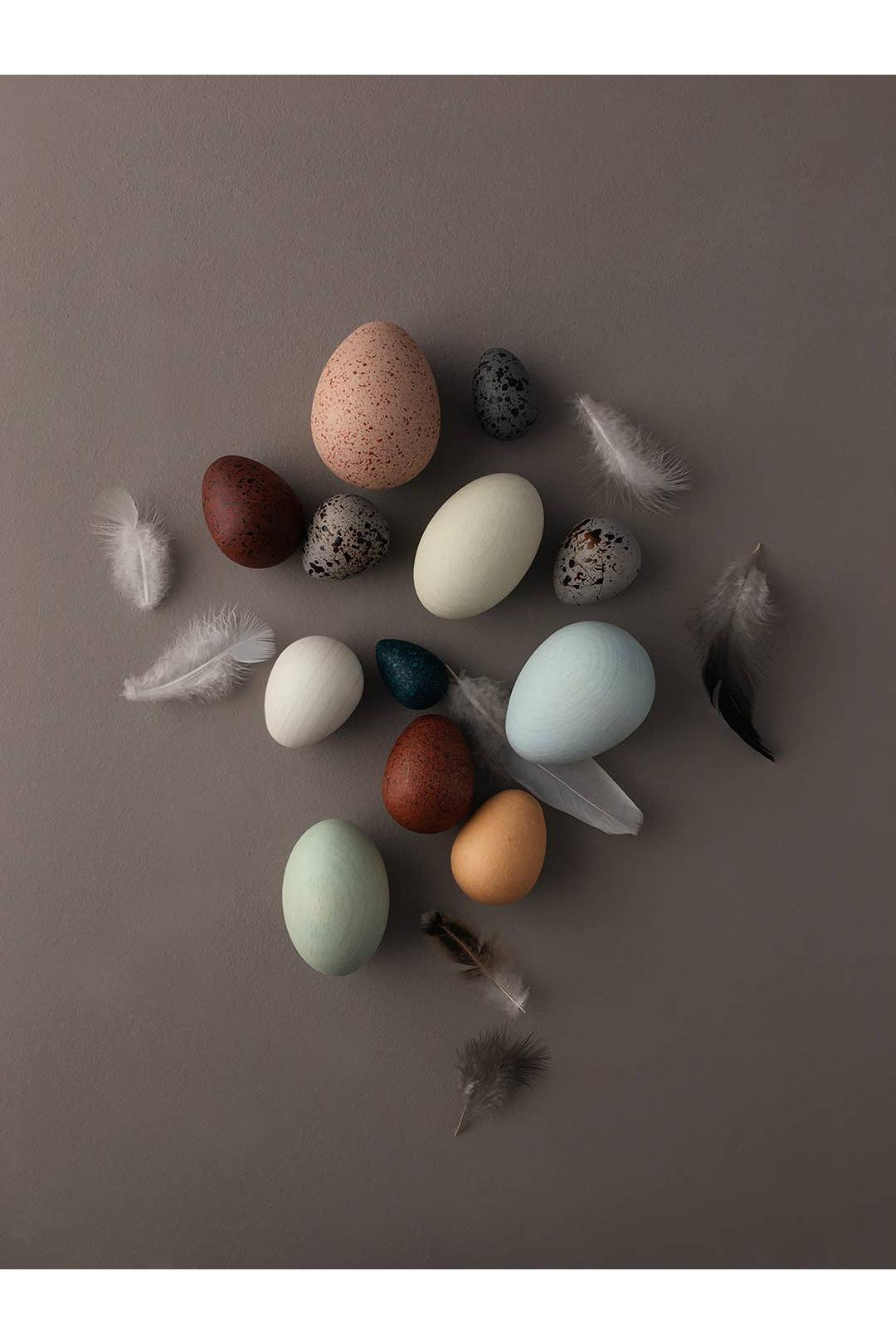 A Dozen Bird Eggs in a Basket