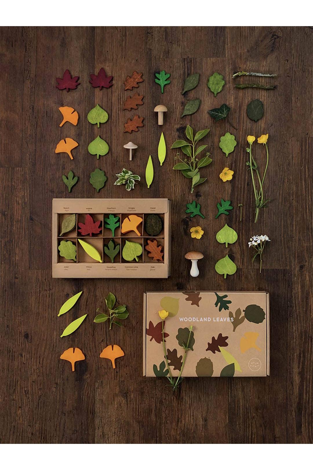 Wooden Leaves Toy Set