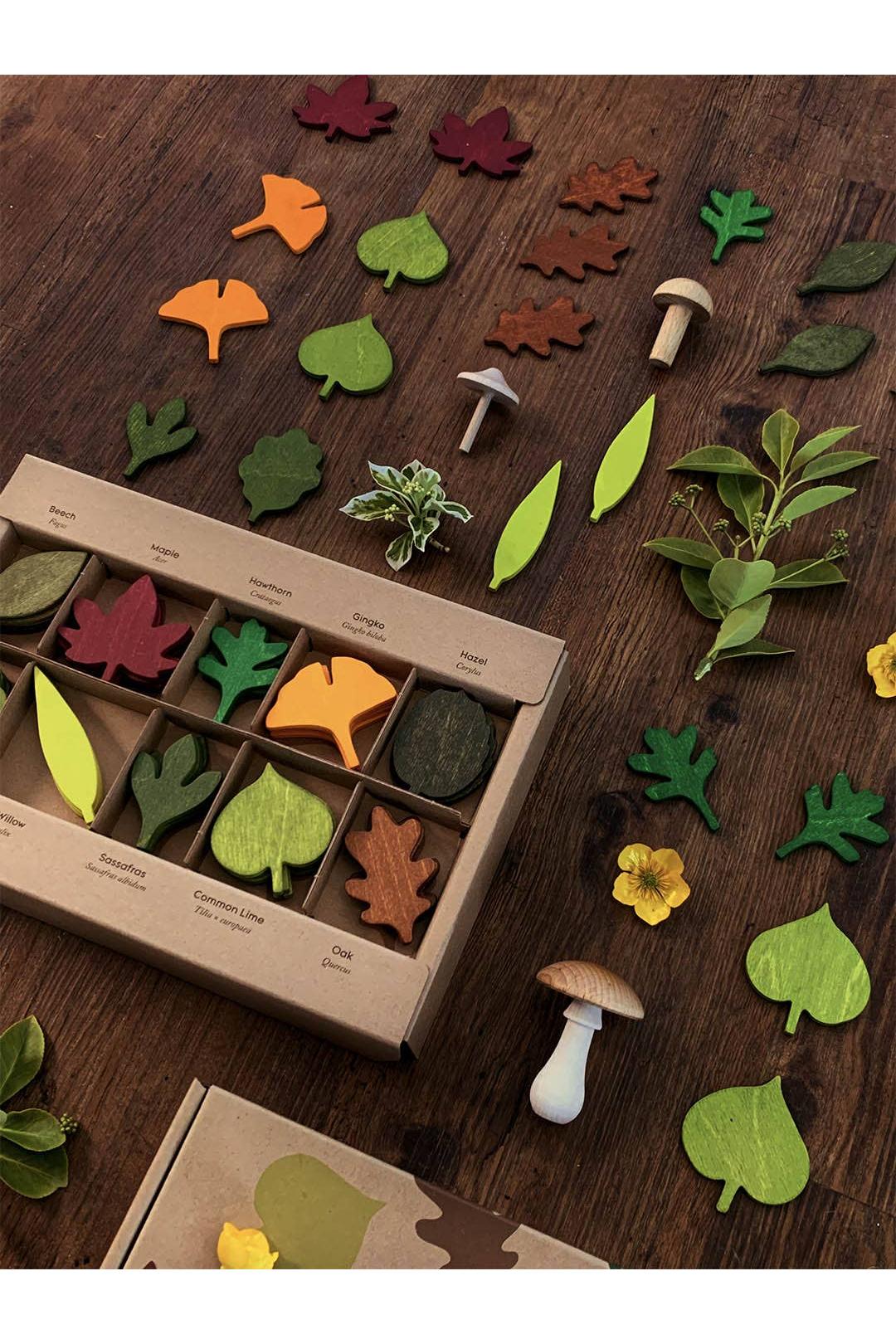Wooden Leaves Toy Set