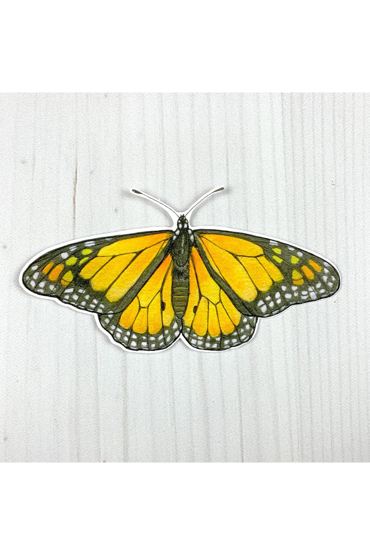 Monarch Butterfly Sticker