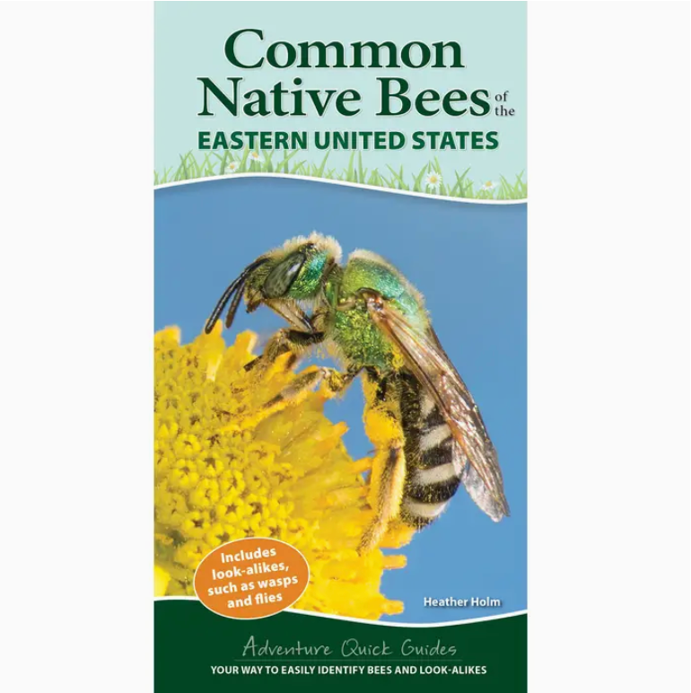 Identification Guides