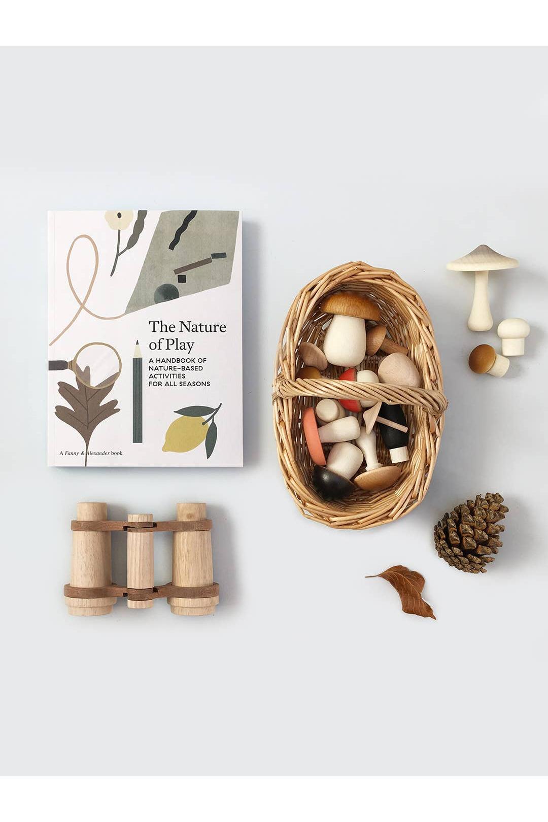 The Nature of Play: A Handbook of Nature-Based Activities for all Seasons