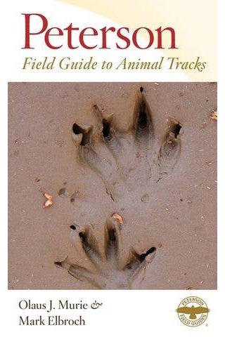 Peterson Field Guide to Animal Tracks: Third Edition (Peterson Field Guides)