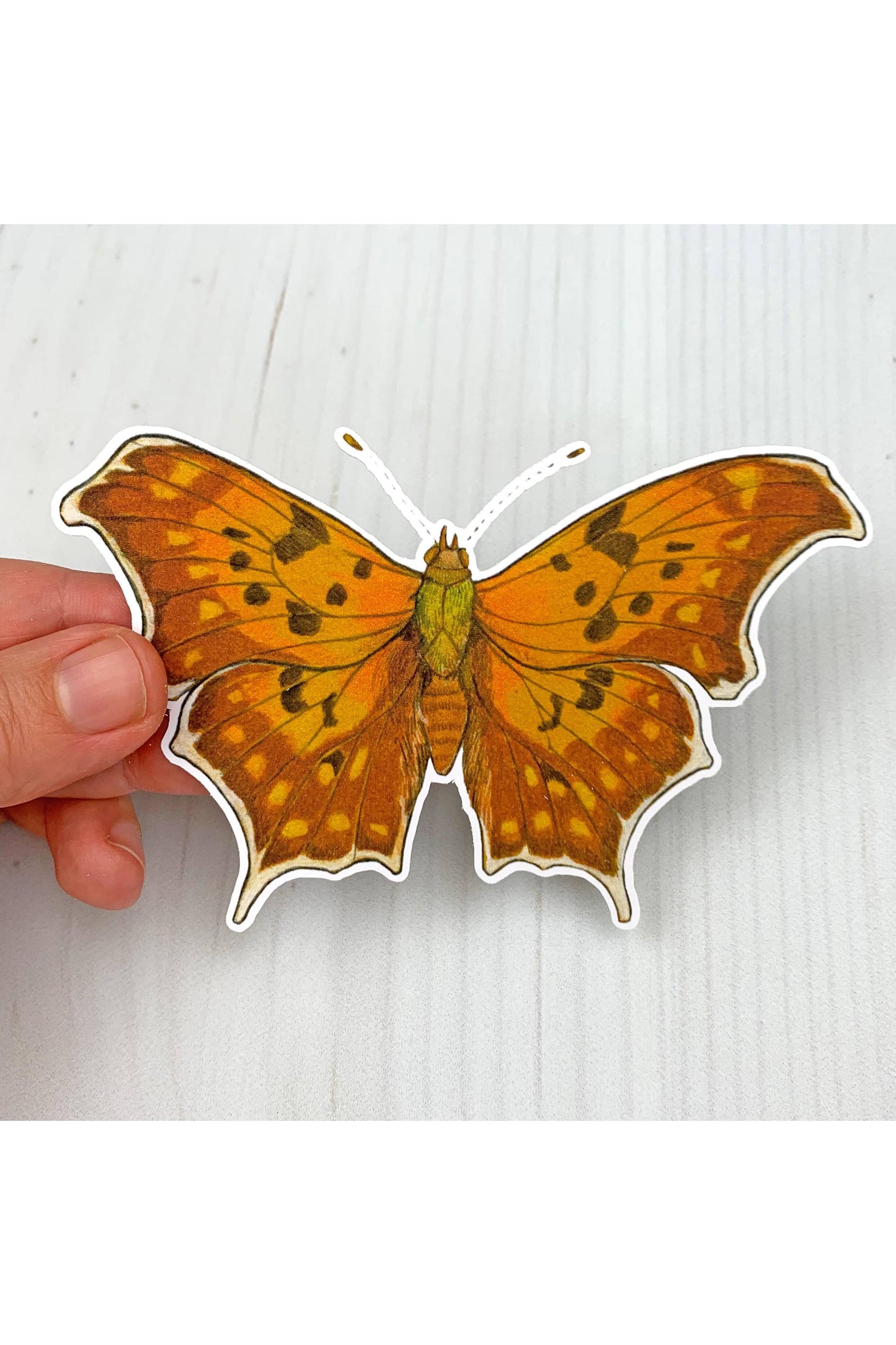 Question Mark Butterfly Sticker