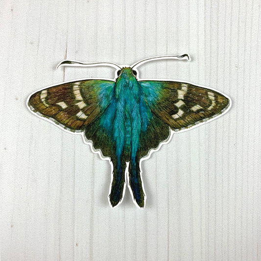 Long Tailed Skipper Butterfly Sticker