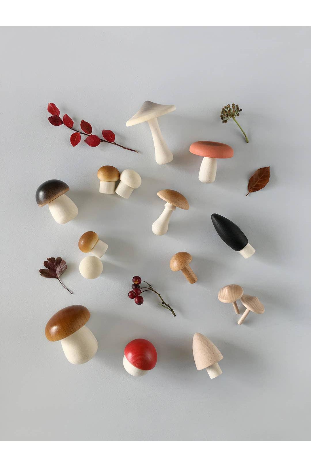 Forest Mushrooms Basket