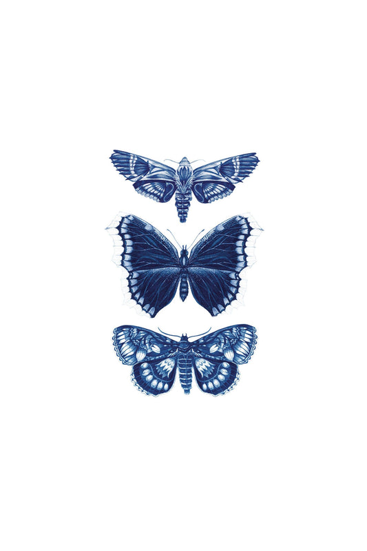 Sapphire Moths Tattoo Pair