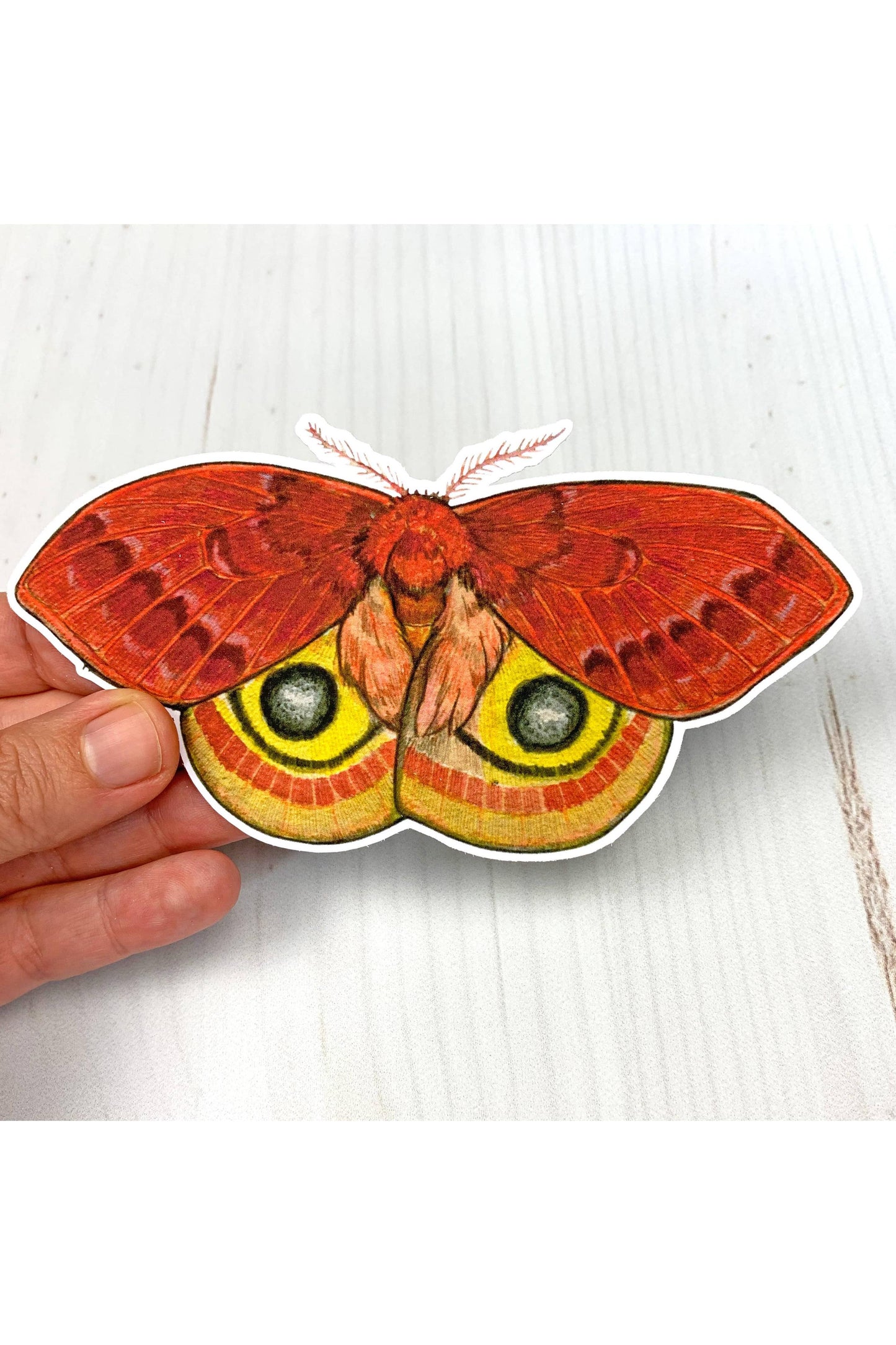 Io Moth Matte Sticker