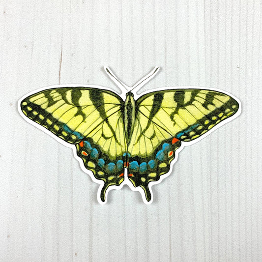 Tiger Swallowtail Butterfly Sticker