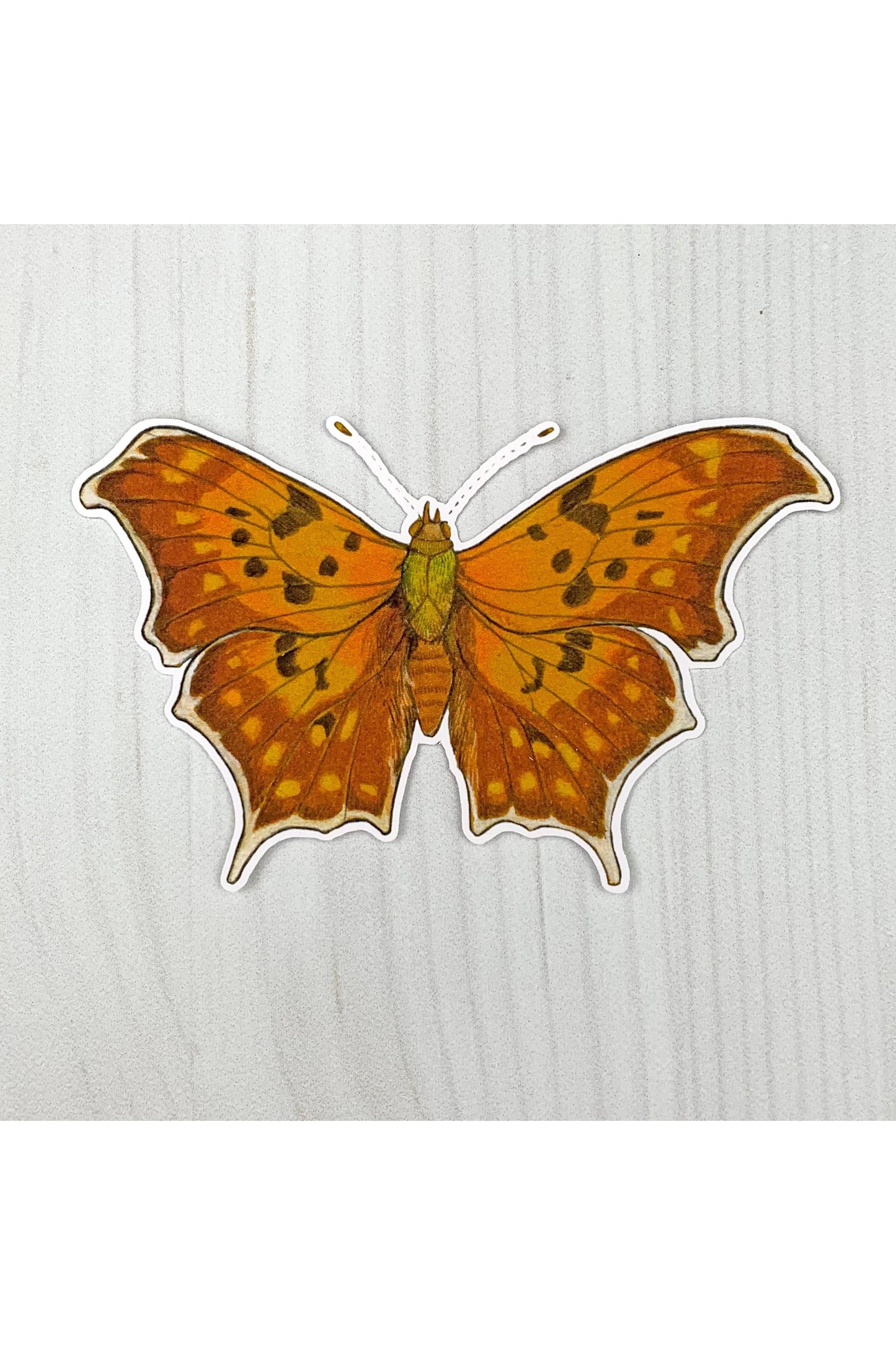 Question Mark Butterfly Sticker