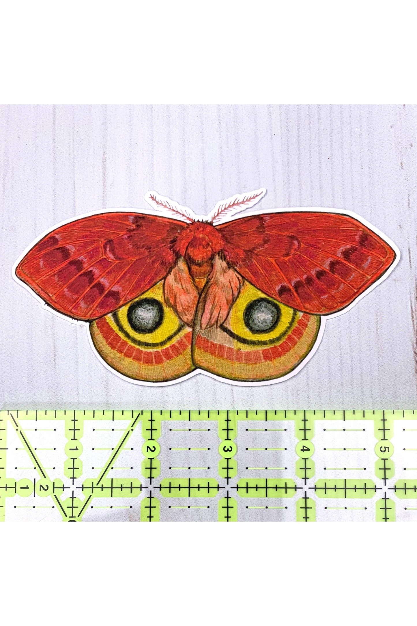 Io Moth Matte Sticker