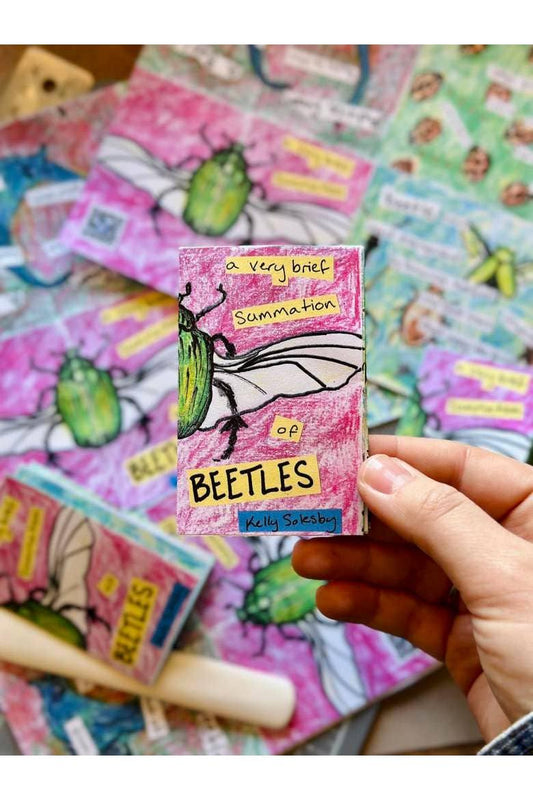 Beetles | Mini Zine | Bug Illustrations | Entomology Gift