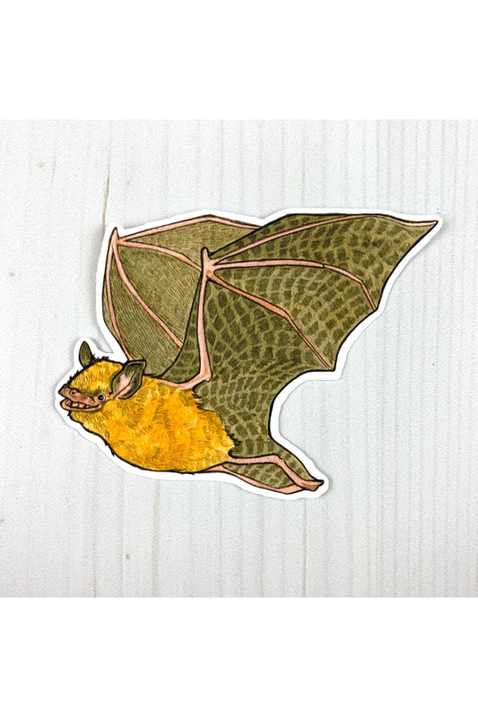 Tricolored Bat Sticker