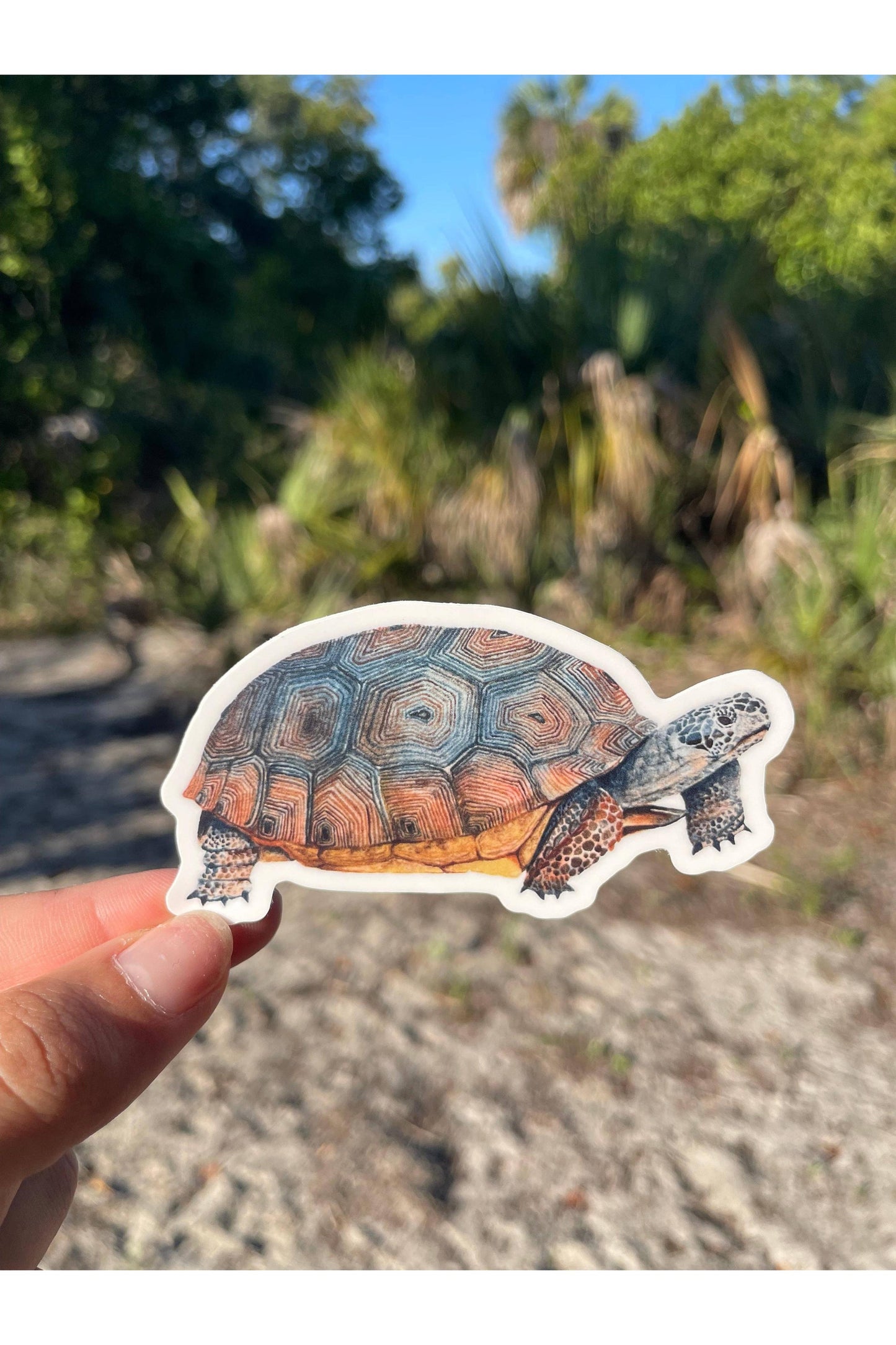 Gopher Tortoise Waterproof Sticker