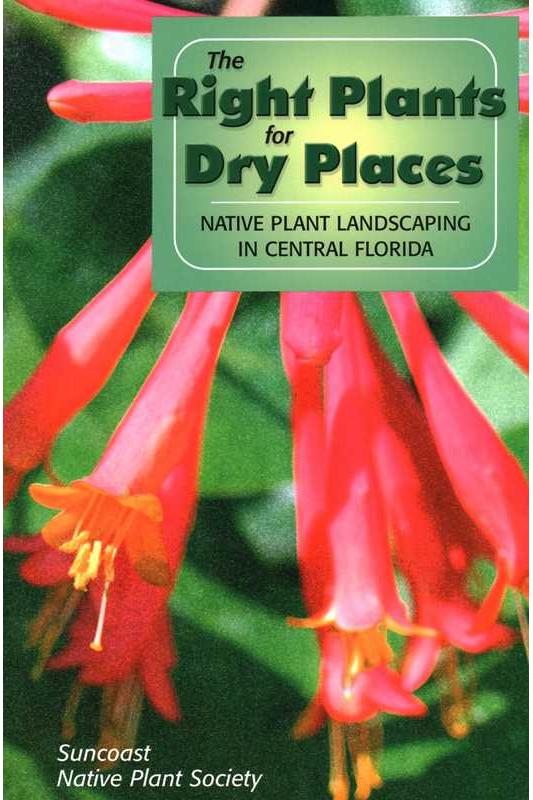 Right Plants for Dry Places