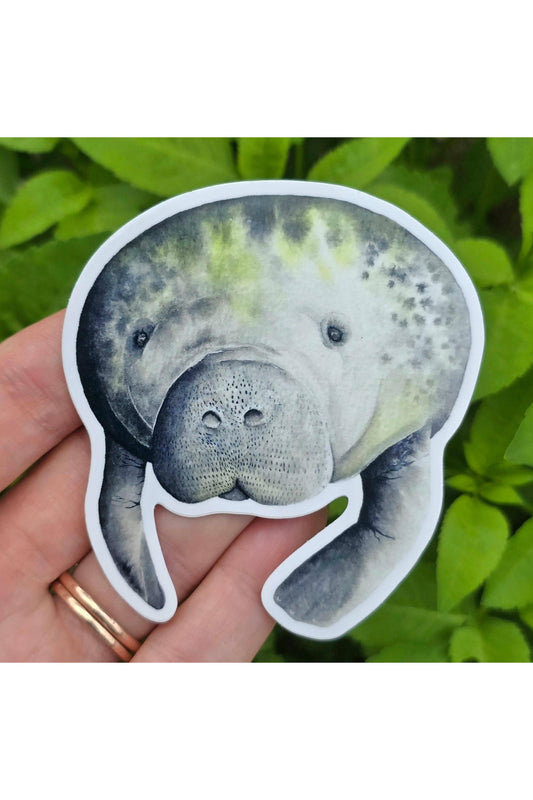 Manatee (Saying Hello) Waterproof Sticker