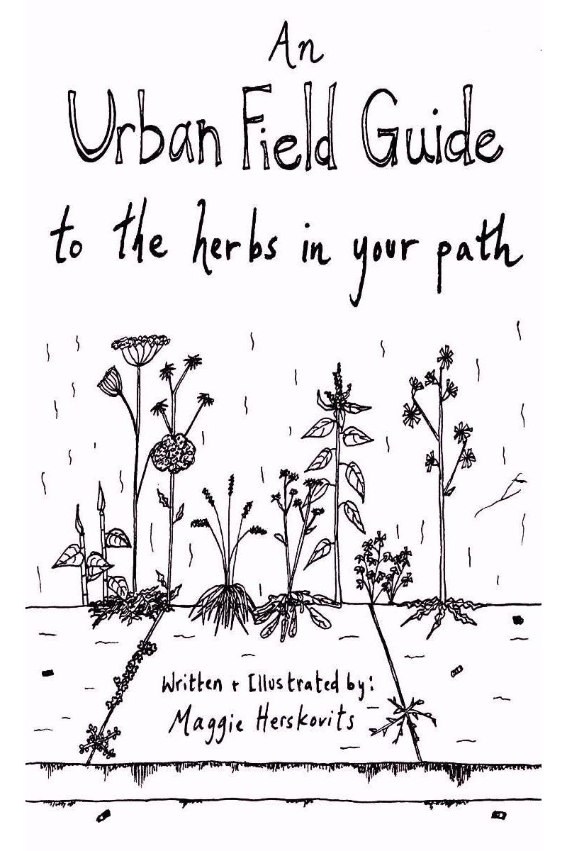 Urban Field Guide to the Herbs in Your Path (Zine)