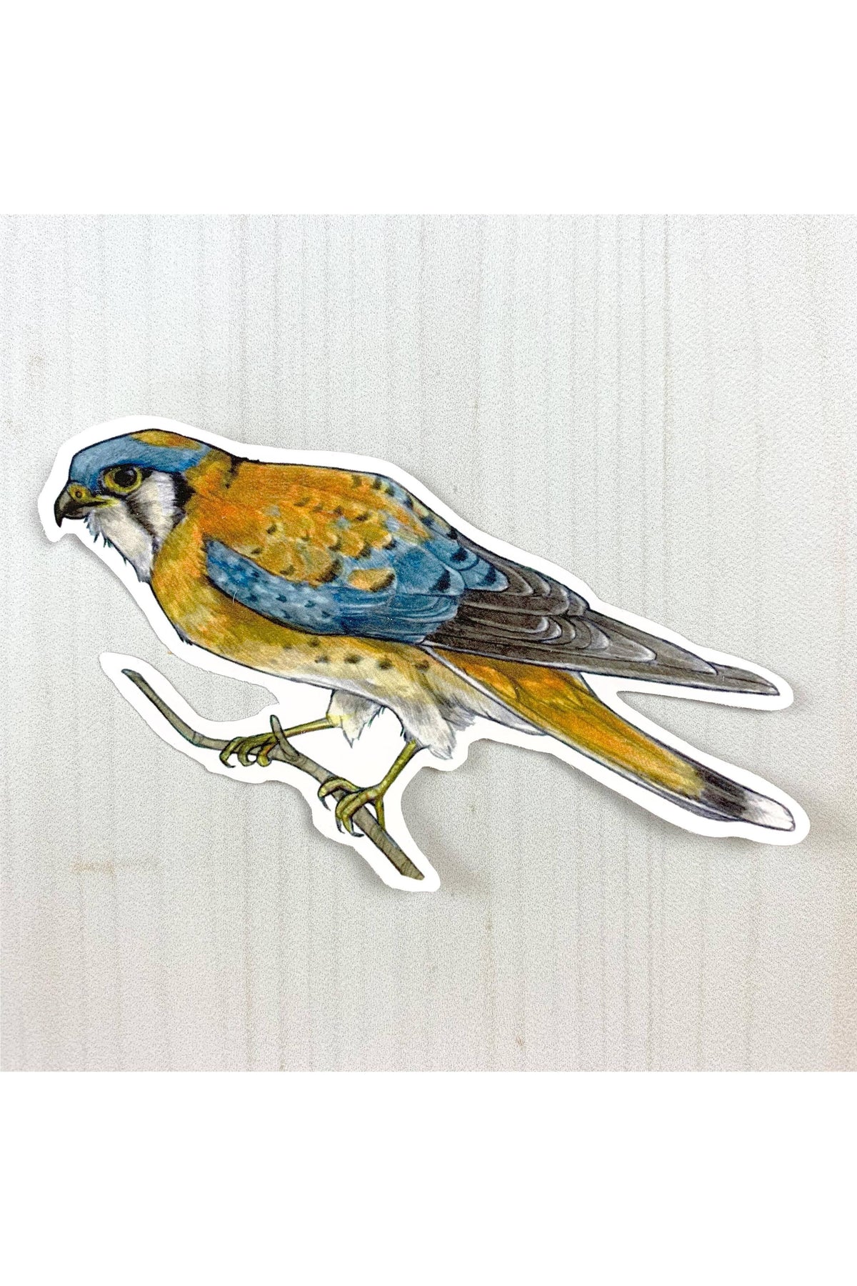 American Kestrel Sticker