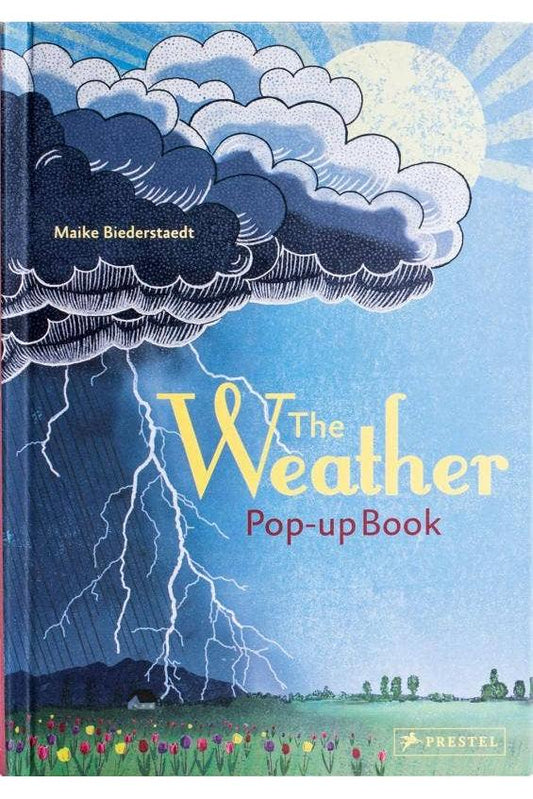 Weather: Pop-up Book