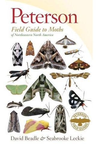 Peterson Field Guide To Moths Of Northeastern North America (Peterson Field Guides)