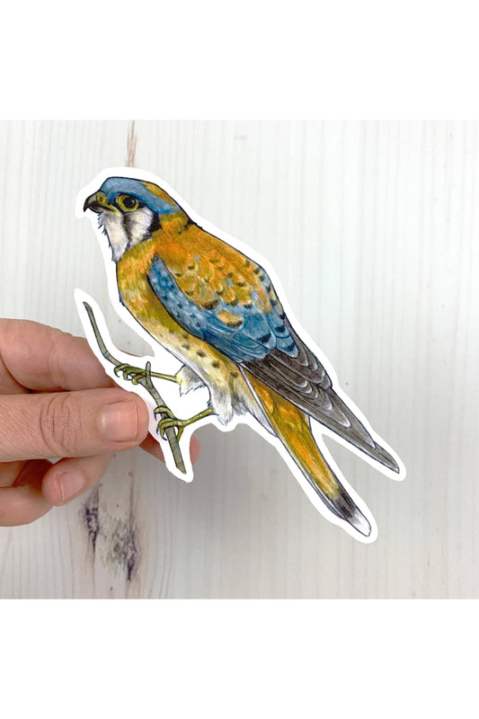 American Kestrel Sticker