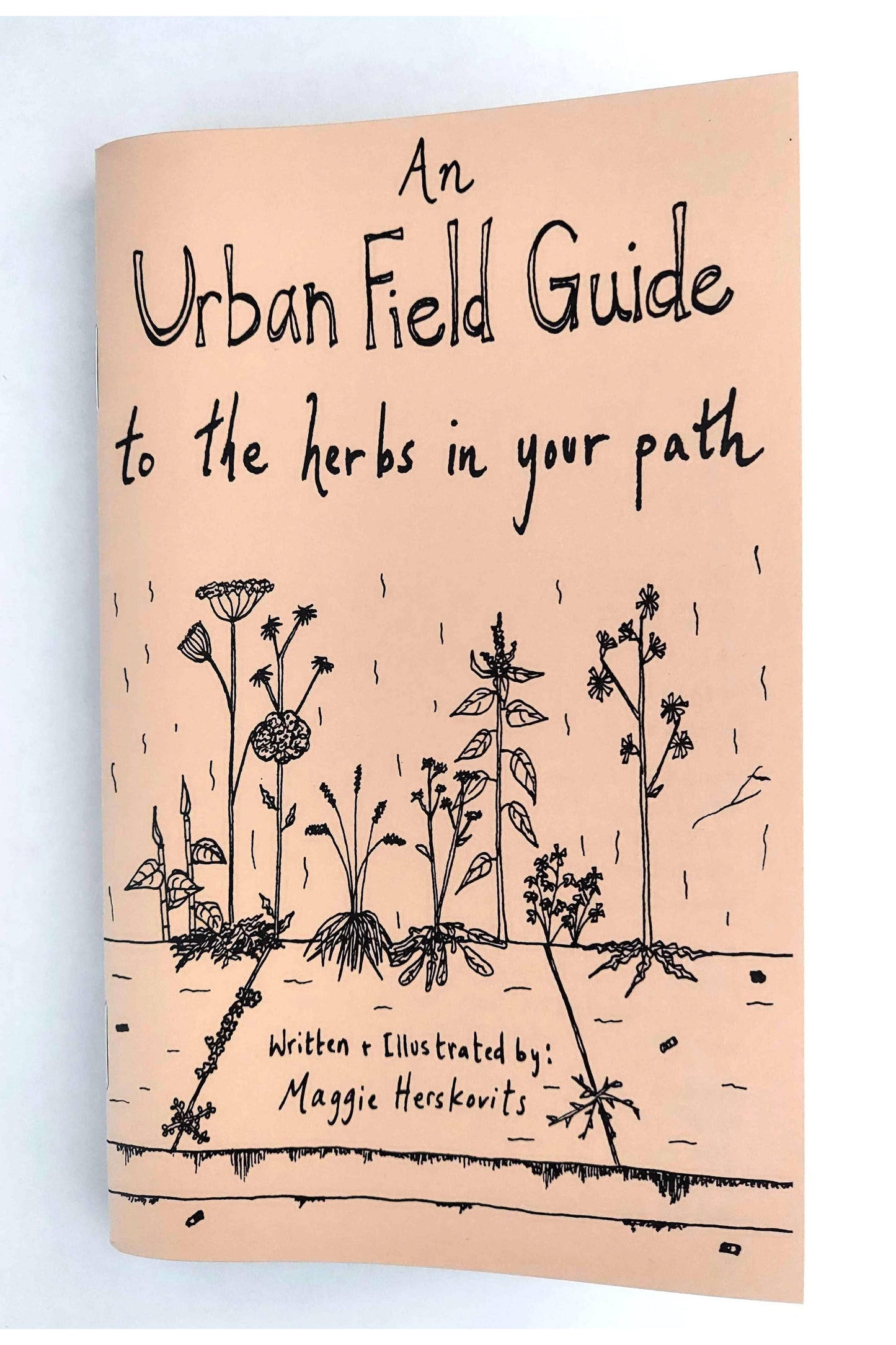 Urban Field Guide to the Herbs in Your Path (Zine)