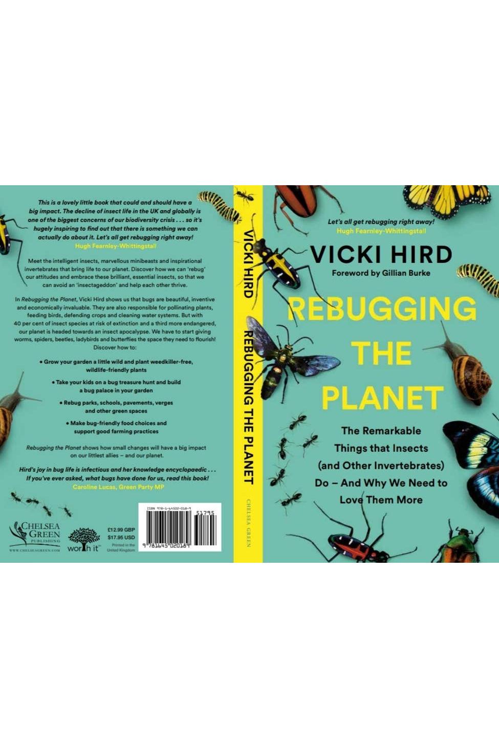Rebugging the Planet: Why We Need to Love Insects More
