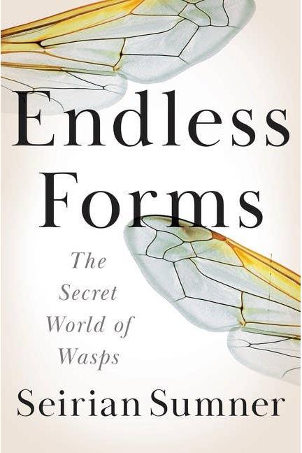 Endless Forms: The Secret World of Wasps