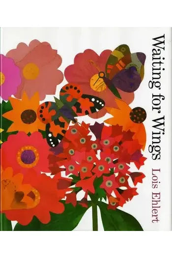 Waiting for Wings by Lois Ehlert