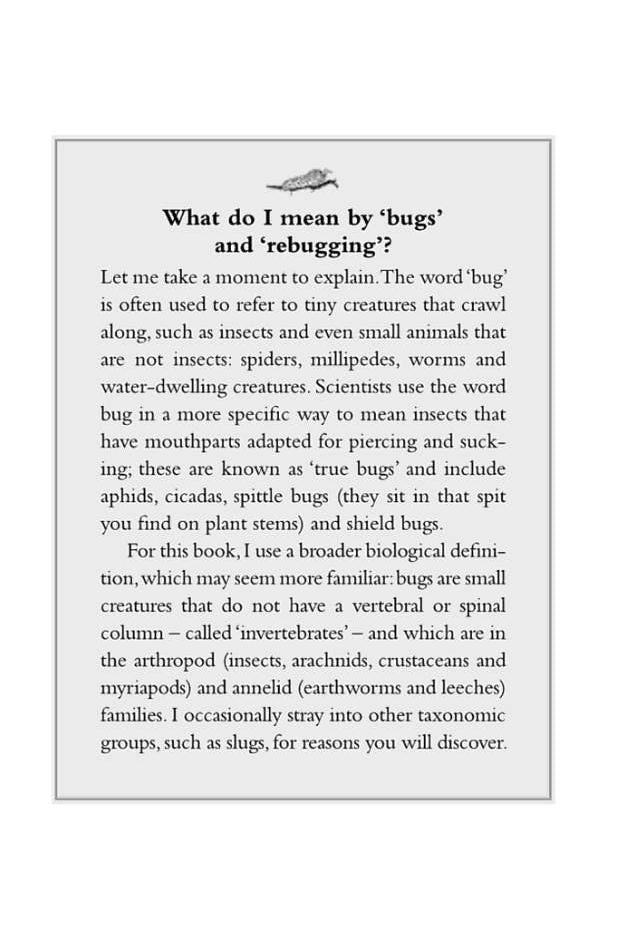 Rebugging the Planet: Why We Need to Love Insects More