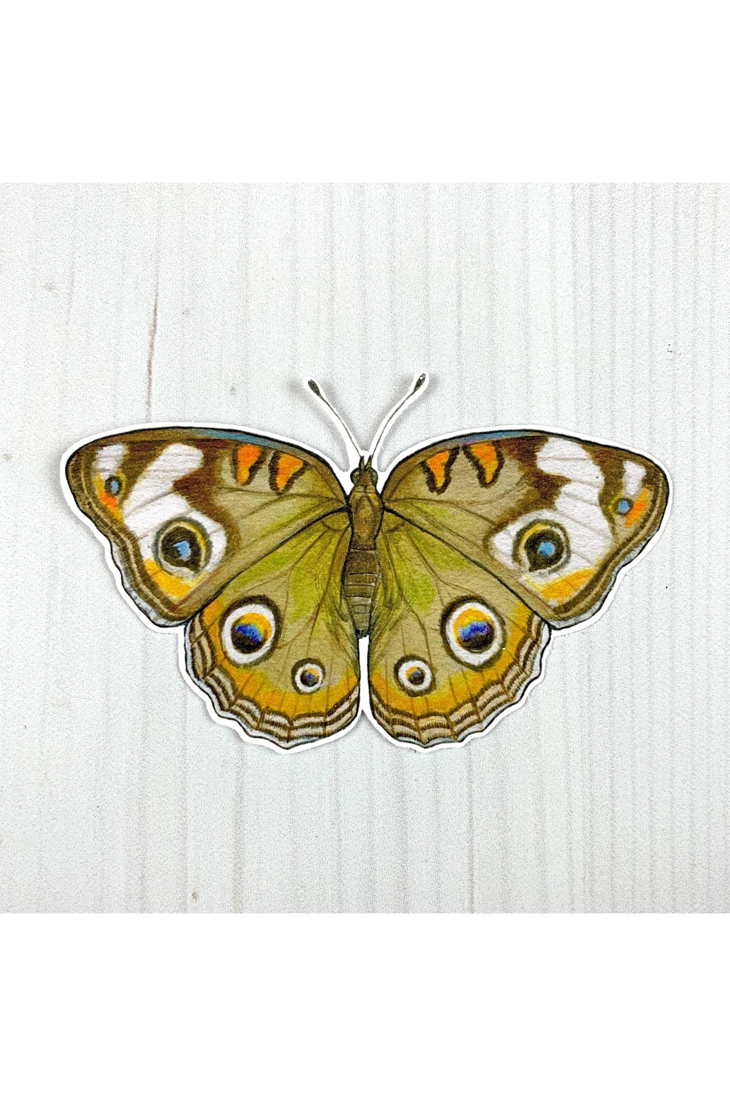 Common Buckeye Butterfly Sticker