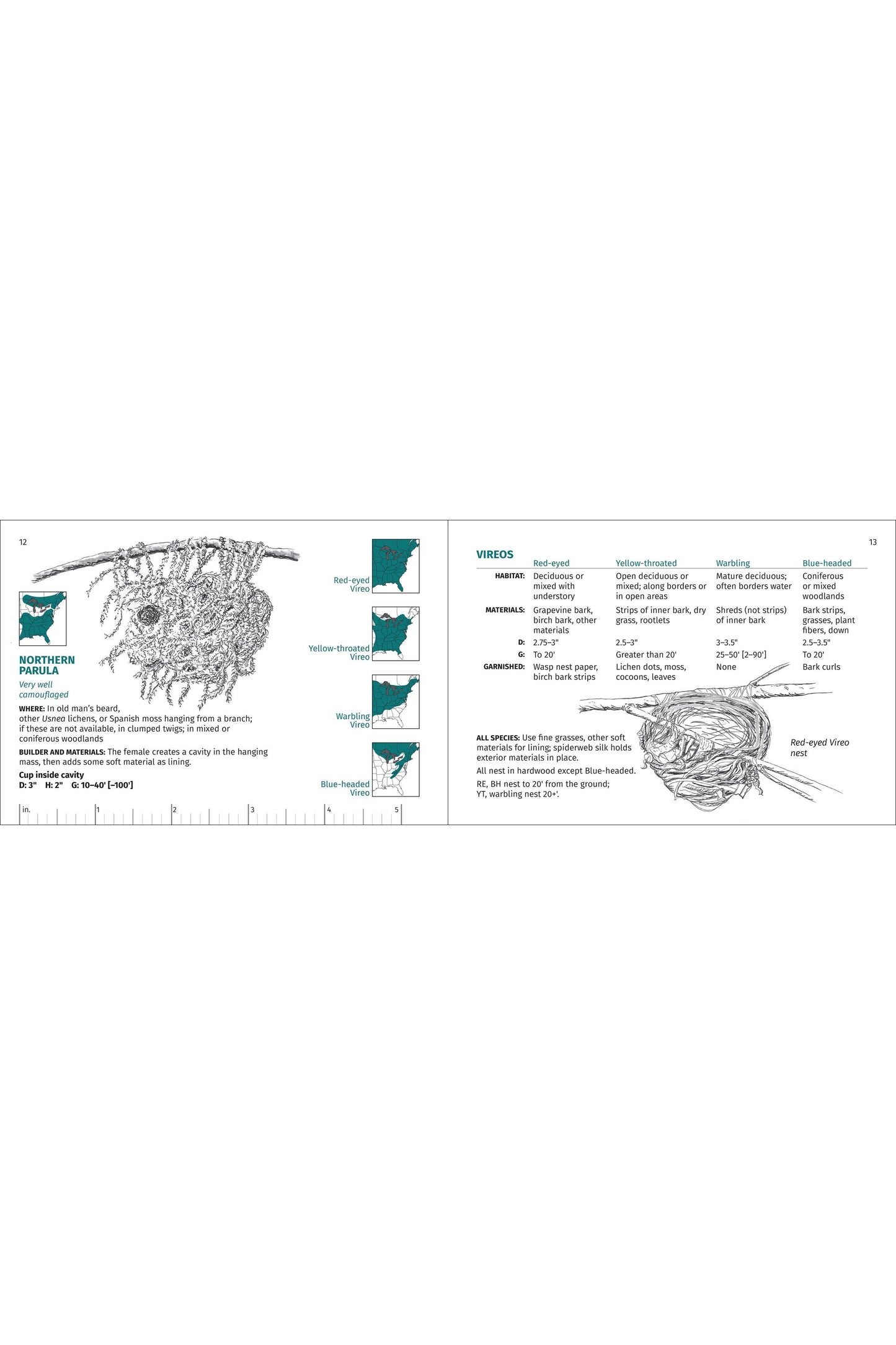 Bird Nest Finder
