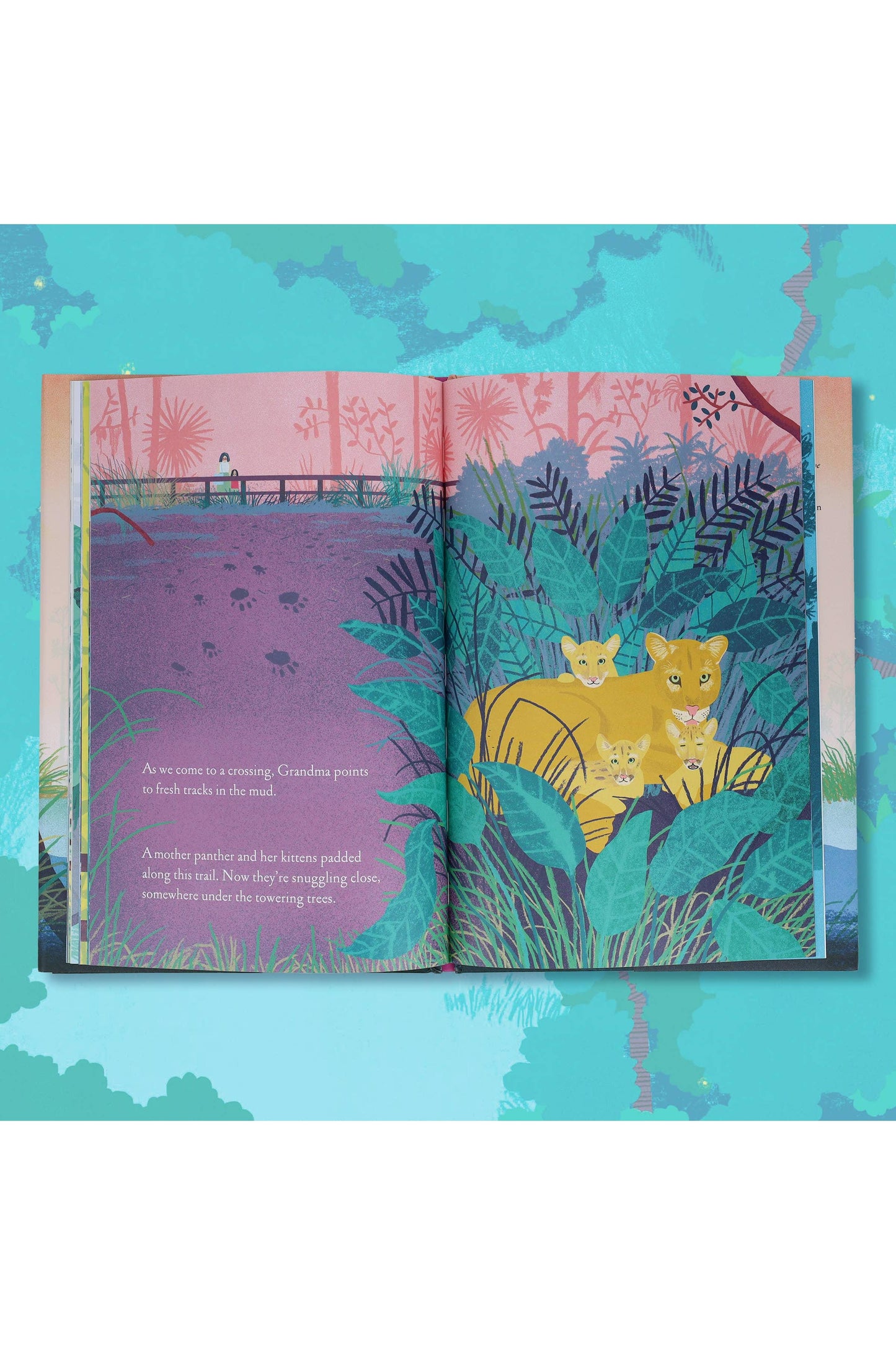 Over and Under the Wetland